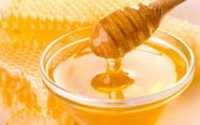 Megfelelő élelmiszer milyen típusú méz és méz előnyöket, egészséges lesz