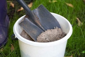 Megfelelő ültetés és gondozása rózsa a nyílt terepen (ellátás) Megfelelő ültetés és gondozása rózsa a nyílt terepen