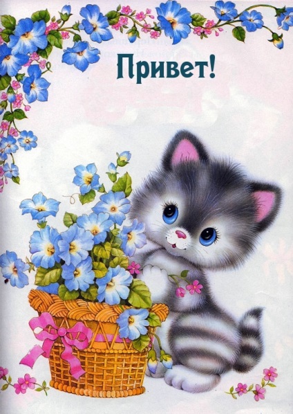 Vicces, vicces és szép képeket a hello szócska (279 db (Funny) Vicces, vicces és szép képeket a hello szócska (279 db