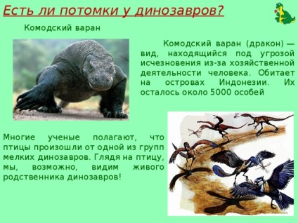 A projekt - élt dinoszauruszok - az általános iskolákban, előadások (most élni) A projekt - élt dinoszauruszok - az általános iskolákban, előadások