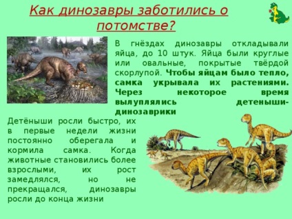 A projekt - élt dinoszauruszok - az általános iskolákban, előadások (dinoszauruszok) A projekt - élt dinoszauruszok - az általános iskolákban, előadások