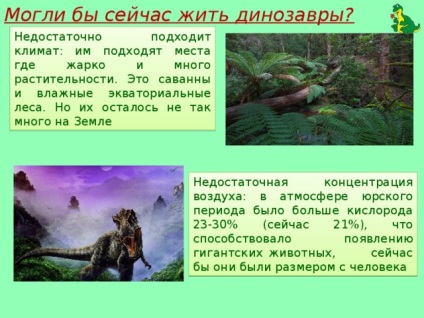 A projekt - élt dinoszauruszok - az általános iskolákban, előadások (most élni) A projekt - élt dinoszauruszok - az általános iskolákban, előadások