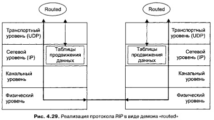 rip protokoll - számítógépes hálózatok