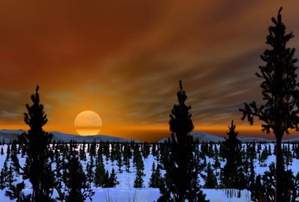 Tundra növényzet és az erdő (növényzet) A növényzet a tundra és erdős tundra