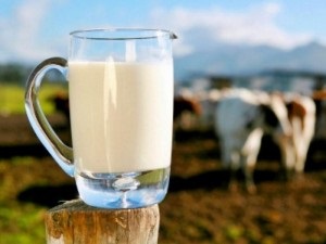 Receptek főzés (sütés) Receptek holdvilág