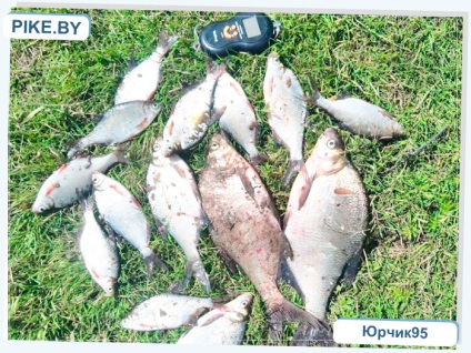 Fishing on a Dnyeper folyó a nyáron