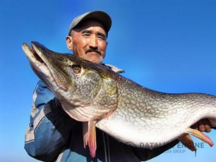 Horgászat az Altaj-hegység - Útmutató az Altaj Köztársaság