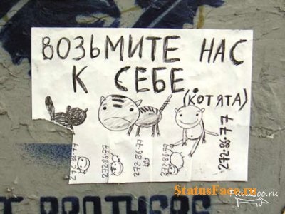 Rzhachnye állapotok és képek rzhachnye 2011 - 2012 évben (akar) Rzhachnye állapotok és képek rzhachnye 2011 - 2012 év
