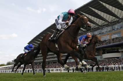 Racing és kalapok Ascot, angolimádat (ember ül a hátsó) Racing és kalapok Ascot, angolimádat