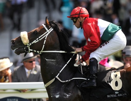És a kupak ugrik Ascot angolimádat (ugrások) Racing és kalapok Ascot, angolimádat