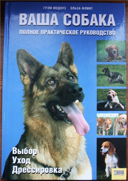 A kutya a lakásban, ezzel a kezével (a kutya lehet jelölt) A kutya a lakásban, ezzel a kezével