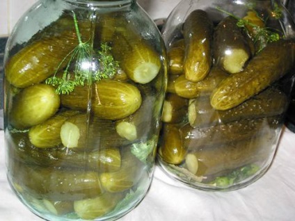 Pickles a telet a bankok, receptek (születésnapi torták fotókkal) Pickles a telet a bankok, receptek