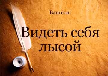 Сонник бачити себе лисою уві сні до чого сниться