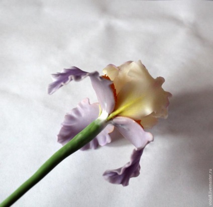Hozzon létre egy virág írisz polimer agyag - Fair Masters - kézzel készített, kézzel készített