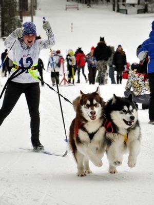 Sport kutyával, hogyan kell játszani frizbi, freestyle sí és skijöring kutyákkal (játszani) Sport kutyával, hogyan kell játszani frizbi, freestyle sí és skijöring kutyával