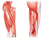 Step teszt, fitness az okos emberek (nap BŐVEBBEN) Step teszt, fitness az okos emberek