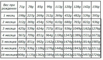 Таблиця ваги чихуахуа по тижнях, стандарт по місяцях