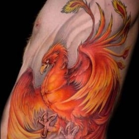 Tattoo Firebird értelmében - a jelentését a szimbólum lányok és a fiúk