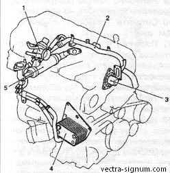 Termosztát - eltávolítása, ellenőrzés és Opel Vectra, Opel Vectra (Opel) Termosztát - eltávolítás, ellenőrzés és Opel Vectra, Opel Vectra