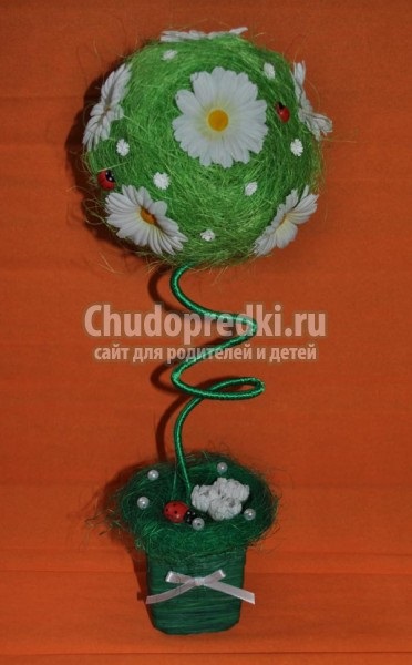 Műkertészeti margarétás kezük (Spring műkertészeti margarétás) Műkertészeti margarétás kezük