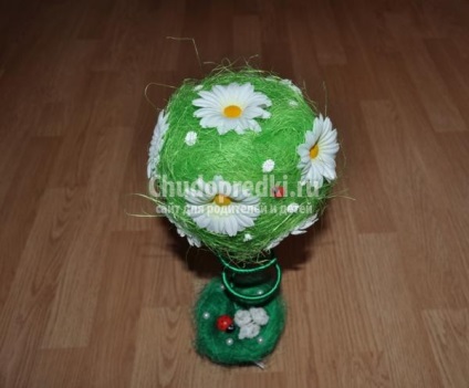 Műkertészeti margarétás kezük (kéz) Műkertészeti margarétás kezük