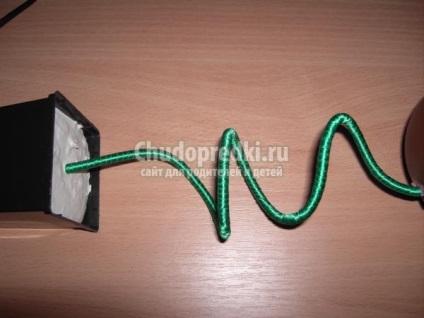 Műkertészeti margarétás kezük (Spring műkertészeti margarétás) Műkertészeti margarétás kezük