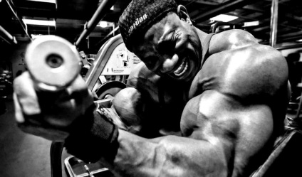 Képzési bicepsz Arnold