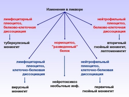 Tuberkulotikus meningitis-, a tünetek és a kezelés, a diagnózis, amint arról (a tünetek) Gümőkóros agyhártyagyulladás, tünetei és kezelése, diagnózis, amint arról