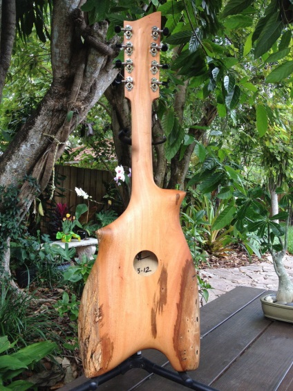 Ukulele - ekogitara Tahitin, mozgochiny