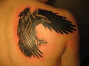 Raven tetoválás, tattoofotos (színes tetoválás) Raven tetoválás, tattoofotos