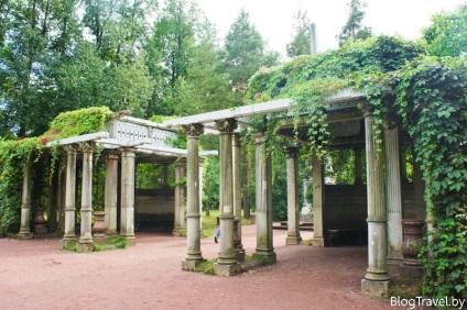 Finom Catherine park Tsarskoye Selo (State Finom Catherine park Tsarskoye Selo