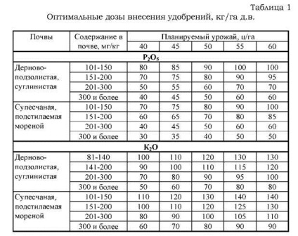 Обробіток озимої пшениці