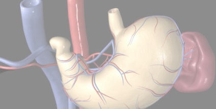 Axiális hiatus hernia, a kezelés mértékét (hiatus hernia axiális csúszó mértékben kezelés) Axial hiatus hernia, kezelés mértékét