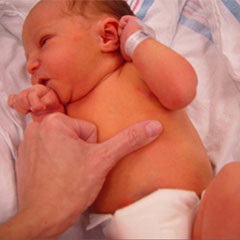 Hofitol újszülöttek sárgaság, hogyan kell adni