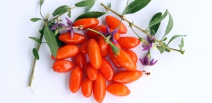 Goji - ültetés és gondozása a magvak (bogyók) Goji - ültetés és gondozás magvak