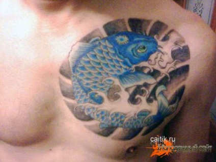 Jelentés ponty tetoválás - tattoo képek (Jelentés tetoválás ponty) Jelentés ponty tetoválás - tattoo kép