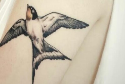 Значення татуювання ластівка або що означає тату ластівка