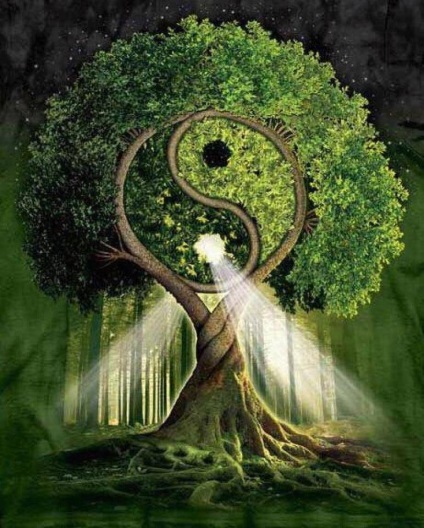 Az egyensúly a yin és a yang hozzáállás tekintetében természet