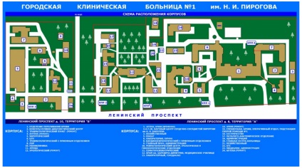 Phlebology Perm legjobb orvosok, akik a visszértágulatok kezelésében