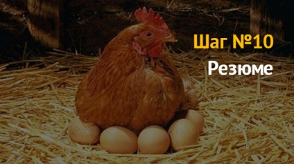 üzleti ötlet, hogyan lehet indítani egy vállalkozást tenyésztése broiler csirkék és tojótyúkok