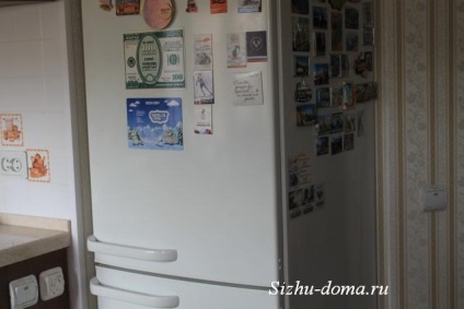 Hogyan mossa a hűtőszekrény belsejében, otthon ülni