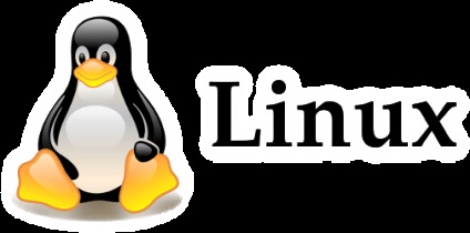 Hogyan hozzunk létre egy felhasználó root jogosultságokat a linux, rögzít mindent