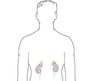 MRI a mellékvesék - a jelzések, előkészítése és lebonyolítása diagnosztika