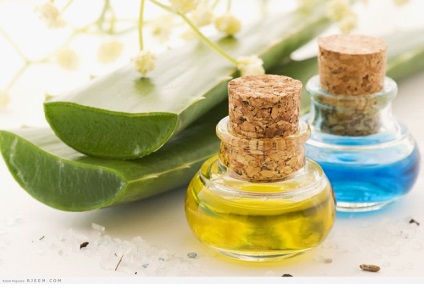 A használata az aloe vera haj maszk otthon gyümölcslé, olaj, gél