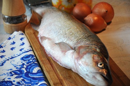 Fish asp szikesedés recept egy fotó