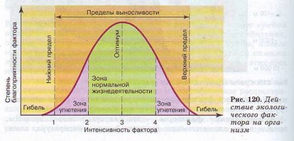 Habitat szervezetek és faktorai