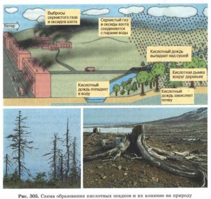 tulajdonságok biogeocenosis