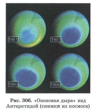 tulajdonságok biogeocenosis