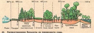 tulajdonságok biogeocenosis