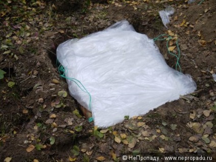 Cache, vagy az átmeneti megőrzési nychka